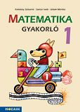 Matematika gyakorló 1.