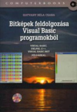 Bitképek ​feldolgozása Visual Basic programokból 