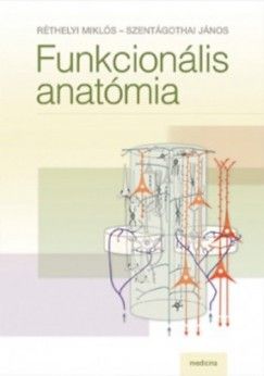 Funkcionális anatómia 
