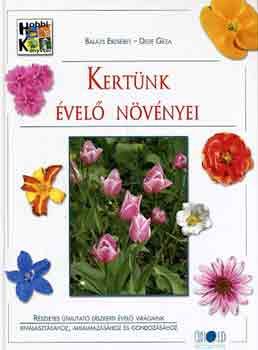Kertünk évelő növényei