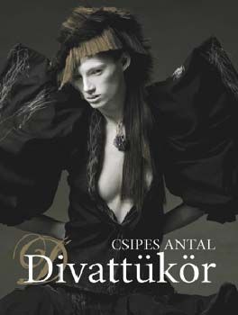 Divattükör