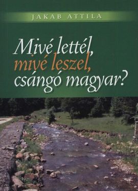 Mivé lettél, mivé leszel, csángó magyar? - A KATOLIKUS EGYHÁZ SZEREPVÁLLALÁSA A MOLDVAI CSÁNGÓK ELROMÁNOSÍTÁSÁBAN