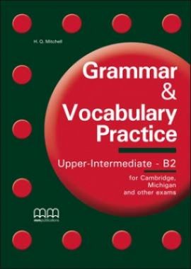 Grammar  Vocabulary Practice