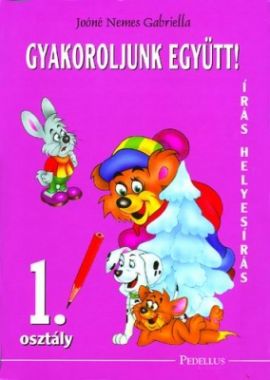 Gyakoroljunk együtt! Írás, helyesírás 1. osztály munkafüzet