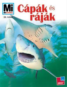 Januári házi feladat 1. osztály - Három munkafüzet egyben!