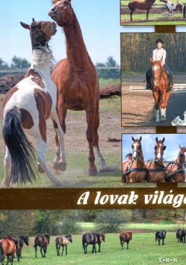 A lovak világa