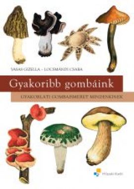 Gyakoribb gombáink