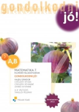 Gondolkodni jó! Matematika 7.o. Felmérő flp A,B vált. Tanulói